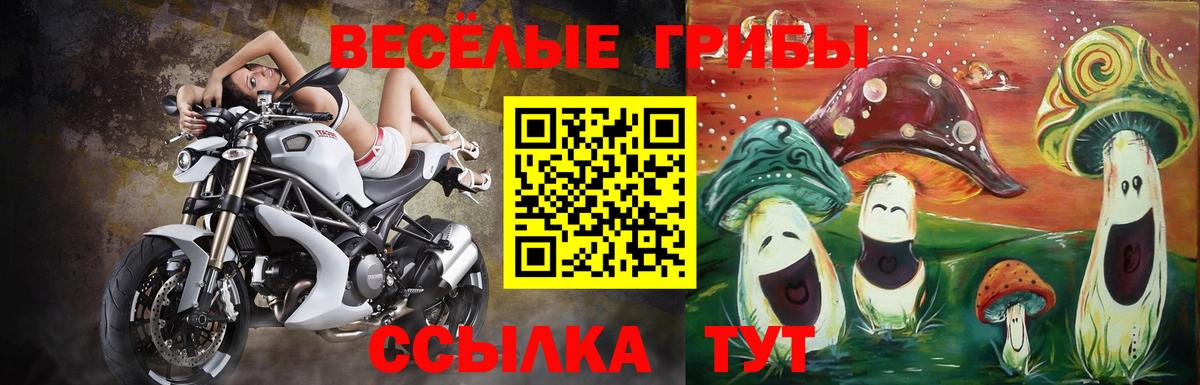 наркота  Вход с VPN  Кунгур  Псилоцибиновые грибы MAGIC MUSHROOMS 